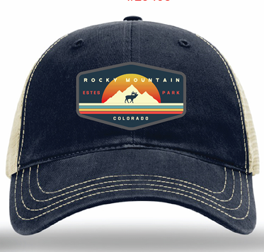 Hurley Cap
