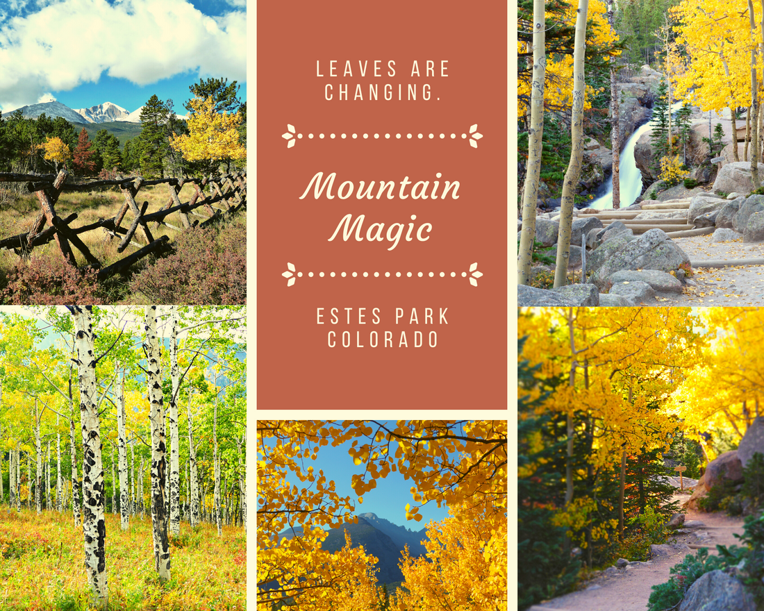 Guide to Fall Colors