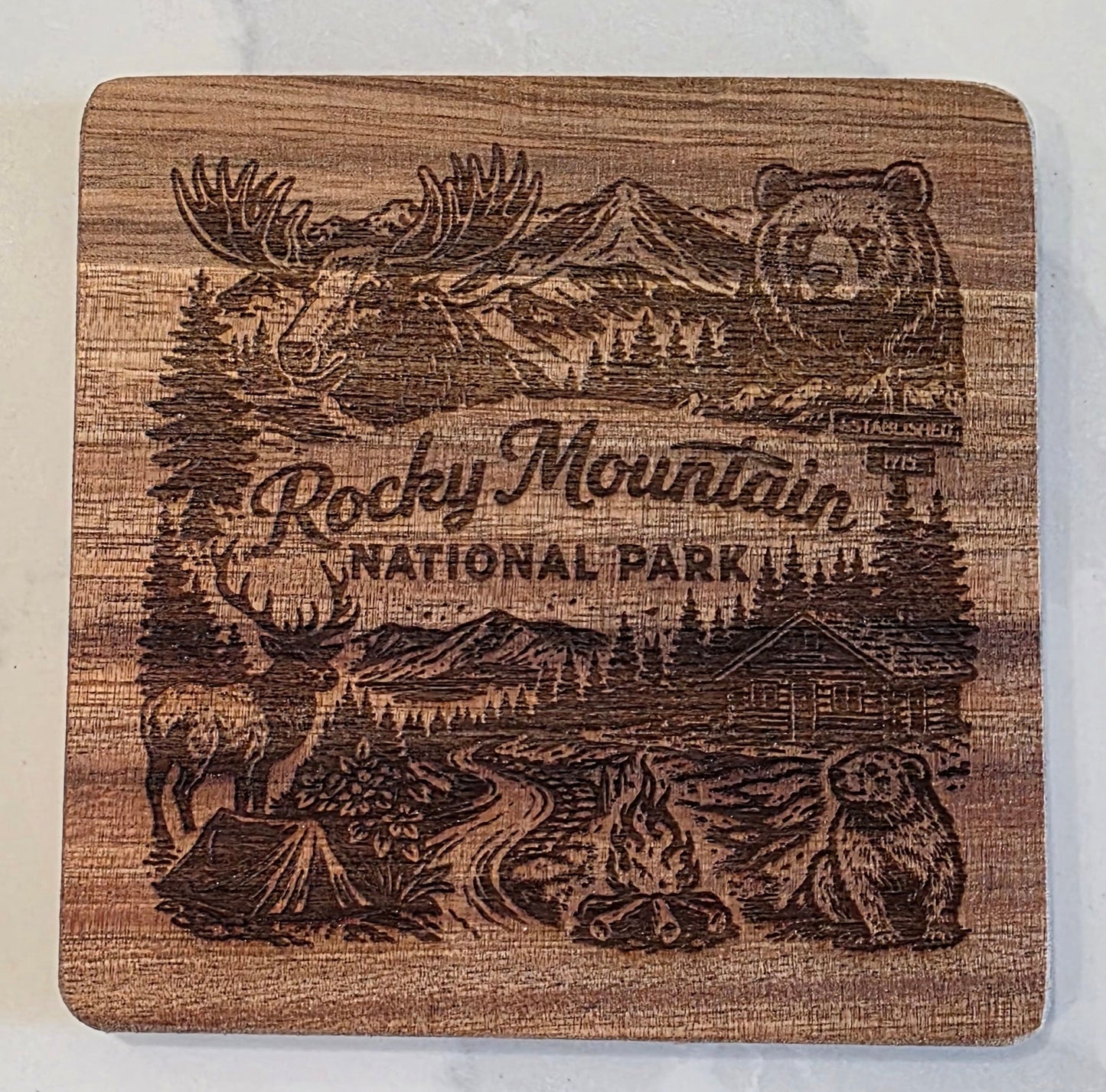 Coaster - Wildlife